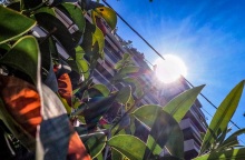 Καιρός: Άρωμα καλοκαιριού πριν το Πάσχα - Πού θα αγγίξει τους 30°C η θερμοκρασία