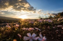 ουρανος, συννεφα, δεντρα