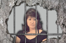 Σταυρούλα Κατσαφαρέα