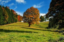 Κλιματική αλλαγή: Δράσεις νέων για την αντιμετώπιση των συνεπειών
