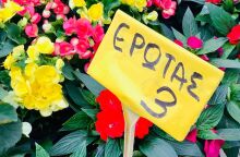 Ανθοέκθεση Καλαμαριάς