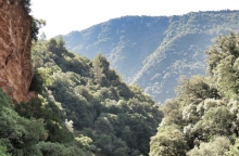 δασος, βουνα, ουρανος