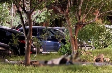 Ρωσία, δεντρα, πτωμα