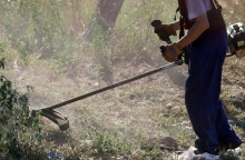 Δήμος Αθηναίων, εργατης κοβει χορτα