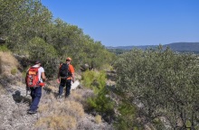 Κρήτη: Άφαντη για 5η ημέρα η 65χρονη Ισραηλινή συγγραφέας - Εντατικές έρευνες για τον εντοπισμό της