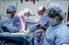 Άραχθος, μεταμόσχευση 