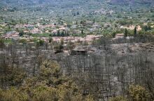 ΠΥΡΚΑΓΙΕΣ ΣΤΗΝ ΧΙΟ