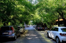 Δήμος Αθηναίων, γειτονια, δρομος, πράσινο, οχηματα