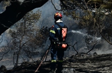 φωτιά, πυροσβεστες, δασος