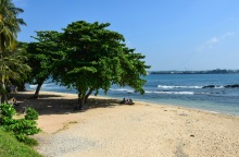 Ποινή φυλάκισης σε τρανς τουρίστρια που περιφερόταν τόπλες σε παραθαλάσσιο θέρετρο