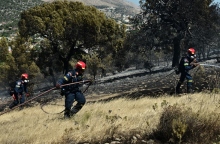 φωτιά, πυροσβεστες, δασος