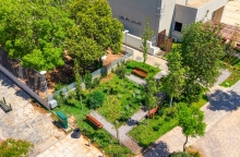 Δήμος Αθηναίων, παρκο, δεντρα