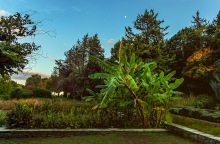 Βοτανικός Κήπος Διομήδους: Εκεί όπου η φύση συναντά τη μνήμη