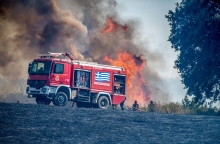 φωτιά, πυροσβεστες, δασος