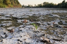 Η Ελλάδα σε συνθήκες έντονης ξηρασίας – Σοβαρές επιπτώσεις σε Κρήτη, Πελοπόννησο και Βόρεια Ελλάδα