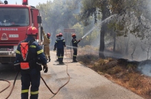 φωτιά, πυροσβεστες, δασος