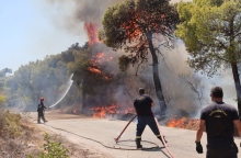 φωτιά στη Βρυσούλα Πρέβεζας
