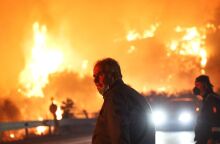 Σκηνές αποκάλυψης από τις φωτιές που σαρώνουν τη χώρα - Φωτογραφίες από τα πύρινα μέτωπα