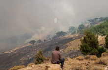 Φωτιά στη Χίο: Μεγάλες ζημιές στο δίκτυο ρεύματος - Πάνω από 150 καμένοι στύλοι ηλεκτροδότησης 