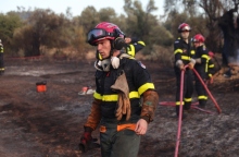 φωτια, δασος, πυροσβεστικο οχημα