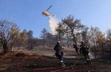 φωτια, δασος, πυροσβεστικο οχημα