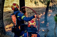 φωτιά, πυροσβεστες, δασος