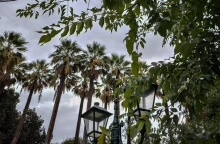 καιρός, συννεφα, δεντρα