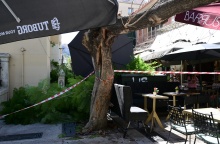 Εικόνες από τη σημείο της πτώσης του δέντρου στο κέντρο της Αθήνας