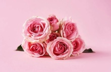 Εορτολόγιο, λουλουδια