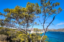 καιρός, θαλασσα, δεντρα