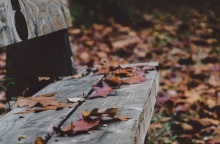 Εορτολόγιο