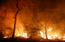 πυρκαγιές στον Αμαζόνιο