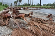 Κυκλώνας Μελίσα: Πάνω από 30 οι νεκροί σε Αϊτή, Τζαμάικα, Δομινικανή Δημοκρατία, Παναμά