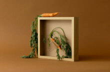 Ποιες τροφές κάνουν καλό στο μυαλό