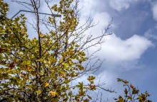 Καιρός, συννεφα