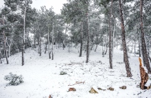 Καιρός: Χιόνια