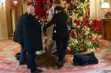 Λονδίνο: Ακτιβιστές άδειασαν σακούλες με κοπριά κάτω από το χριστουγεννιάτικο δέντρο του Ritz