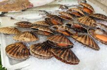 Τα ιαπωνικά χτένια στον πυρήνα της γεωπολιτικής έντασης με την Κίνα