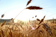 Τι σημαίνει η εμπορική συμφωνία της ΕΕ με τη Mercosur για την Ελλάδα - Οι νέες ευκαιρίες και φθηνότερες εξαγωγές 