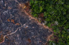 Η αποψίλωση του Αμαζονίου στη Βραζιλία έσπασε νέο ρεκόρ το πρώτο εξάμηνο του 2022,