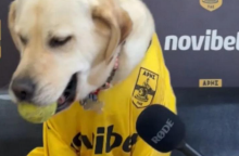 Άρης: Επική...συνέντευξη με τον σκύλο της ομάδας