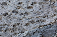 Ιταλία: Χιλιάδες αποτυπώματα δεινοσαύρων βρέθηκαν σε βράχους των Άλπεων