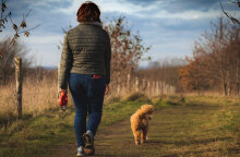 Ιταλία: Με ανάλυση DNA θα εντοπίζονται οι ιδιοκτήτες των σκύλων που αφήνουν τα περιττώματα των ζώων τους στον δρόμο