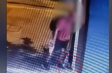 «Δεν το έκανα εγώ, είμαι μορφωμένος», λέει ο 40χρονος που φέρεται να πάτησε το γατάκι