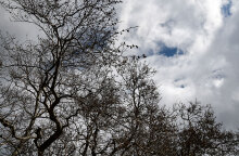 Συννεφιασμένος καιρός