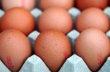 Είδος πολυτελείας γίνονται τα αυγά στη Βρετανία