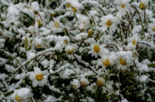 Συνεχίζεται ο παγετός 