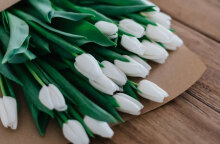 Εορτολόγιο: Σήμερα 8 Δεκεμβρίου 2024 γιορτάζει…