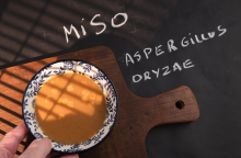 Το ασιατικό υλικό miso