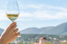 Το καλοκαιρινό μεγαλείο της Ρομπόλας και 5 ετικέτες για να την απολαύσεις